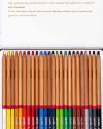 Camlin Artist Colour Pencils – Assorted Pack of 24 shades - Image 2