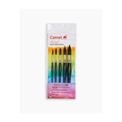 CAMEL ARTIST MOP BRUSH SET OF 5 BRUSHES