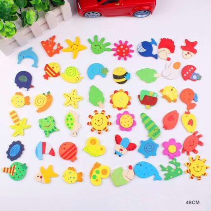 48 PC CARTOON MAGNET (48CM)