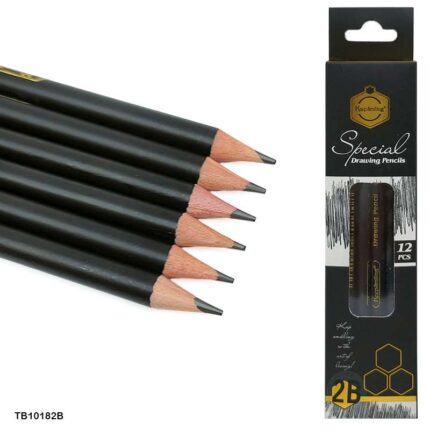 12 PCS 2B SPECIAL DRAWING PENCIL