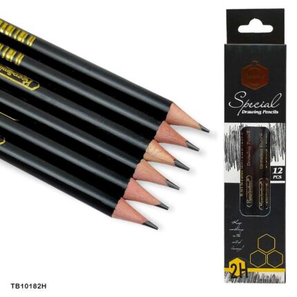12 PCS 2H SPECIAL DRAWING PENCIL