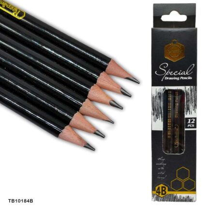 12 PCS 4B SPECIAL DRAWING PENCIL
