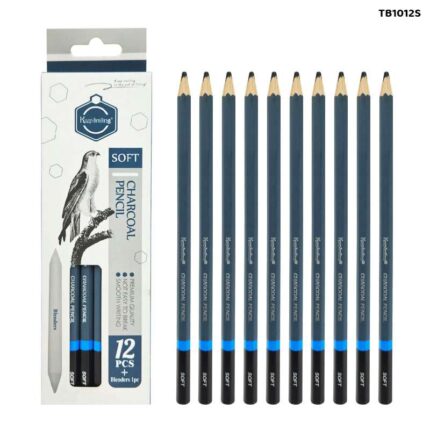 12 PCS CHARCOAL PENCILS SOFT